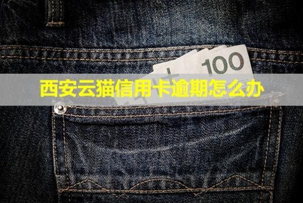 西安云貓信用卡逾期怎么辦？被起訴立案后怎么解決？