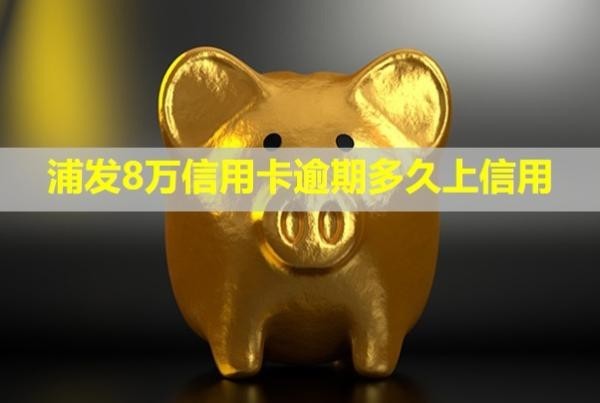 浦發(fā)8萬信用卡逾期多久上信用？會(huì)怎樣？