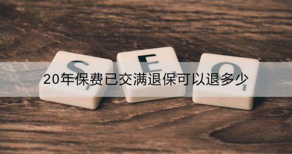 20年保費(fèi)已交滿,退?？梢酝硕嗌? title=