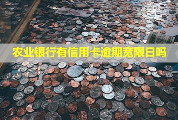 農(nóng)業(yè)銀行有信用卡逾期寬限日嗎？還不上會(huì)怎么樣？
