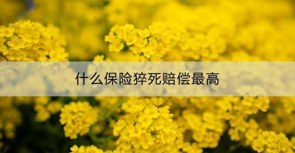什么保險(xiǎn)猝死賠償最高？高猝死賠償?shù)囊馔怆U(xiǎn)產(chǎn)品推薦？