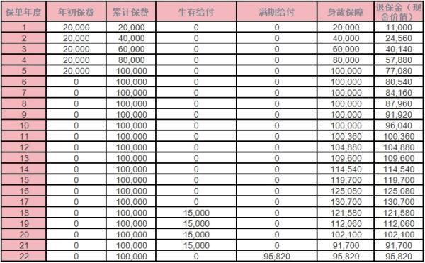 國(guó)壽卓越英才2.0少兒年金保險(xiǎn)怎么樣？收益分析？