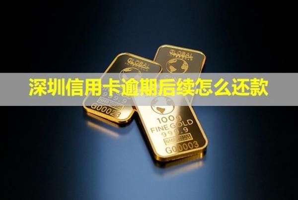 深圳信用卡逾期后續(xù)怎么還款？能免本金嗎？