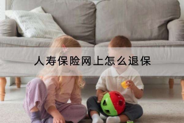 人壽保險網(wǎng)上怎么退保？退保多久到賬？