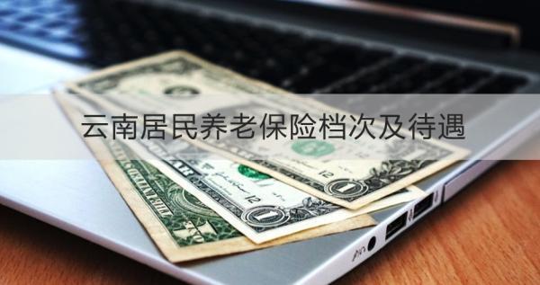 云南居民養(yǎng)老保險(xiǎn)檔次及待遇是怎樣的？怎么交？