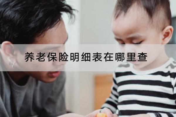 養(yǎng)老保險明細表在哪里查？怎樣領得多？