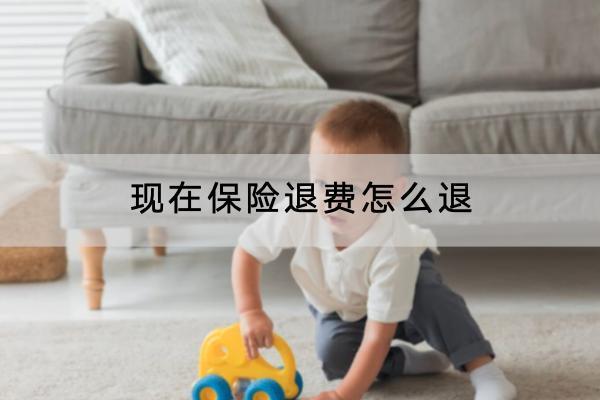 現(xiàn)在保險(xiǎn)退費(fèi)怎么退？怎樣全額退保？