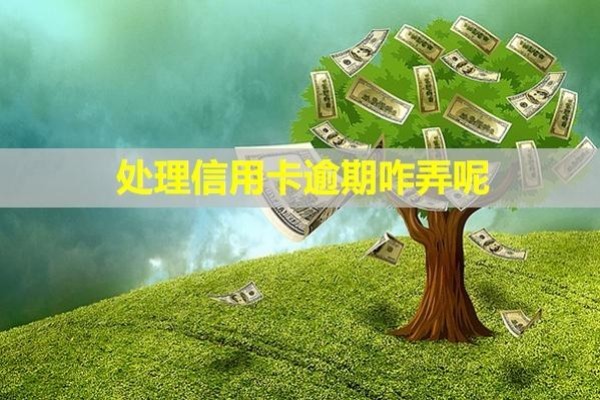 處理信用卡逾期咋弄呢