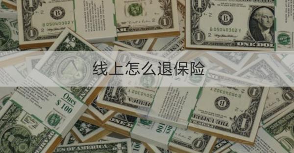 線上怎么退保險(xiǎn)