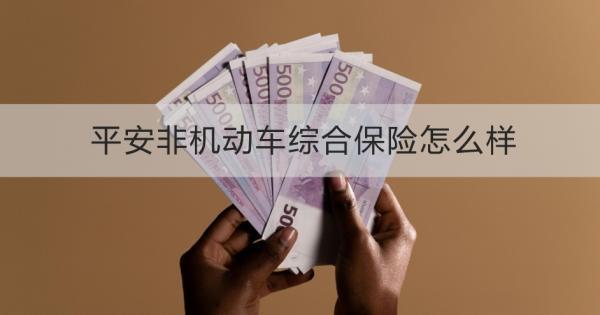 平安非機(jī)動(dòng)車綜合保險(xiǎn)怎么樣？怎么買？