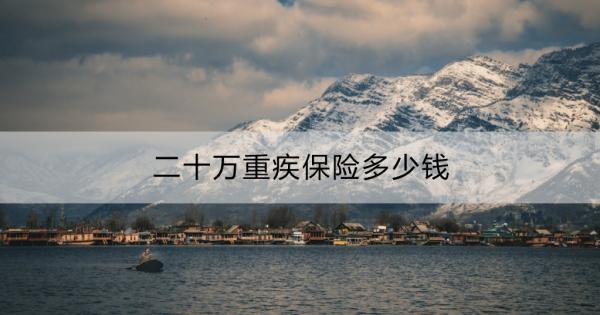 二十萬重疾保險多少錢？重疾險20萬保額夠嗎？