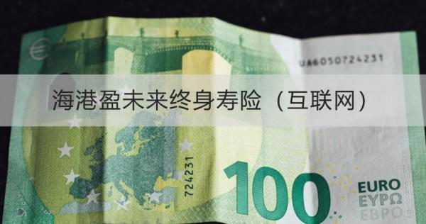 海港盈未來終身壽險(xiǎn)（互聯(lián)網(wǎng)）投保規(guī)則詳解，基本信息+保障