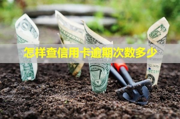 怎樣查信用卡逾期次數(shù)多少？還款后還能再用嗎？