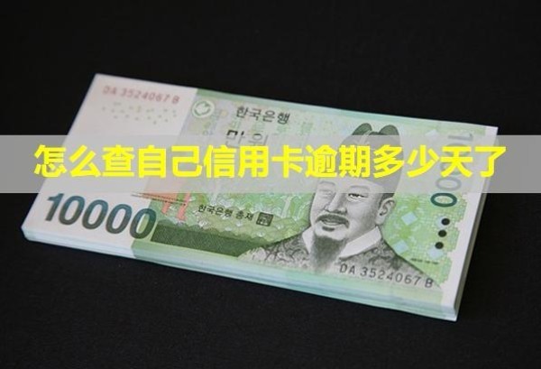 怎么查自己信用卡逾期多少天了？無力償還怎么辦？