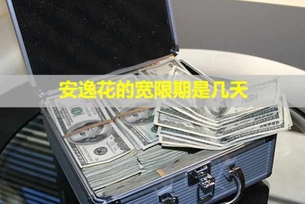 安逸花的寬限期是幾天？暫時(shí)還不上怎么辦？