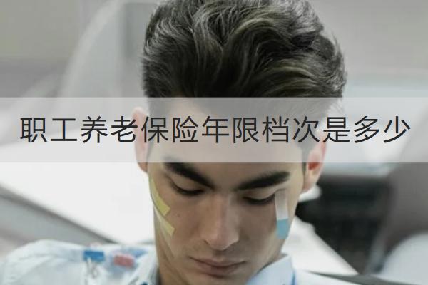 職工養(yǎng)老保險(xiǎn)年限檔次是多少？可以斷交嗎？