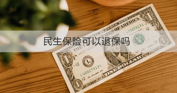 民生保險(xiǎn)可以退保嗎？退保怎么退？