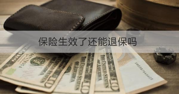 保險生效了還能退保嗎？退保哪些材料？
