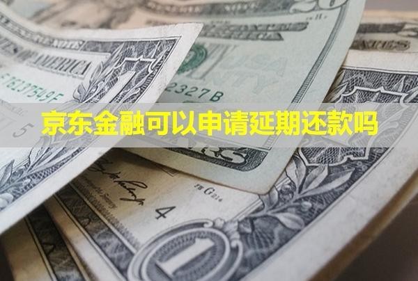 京東金融可以申請延期還款嗎？會上門催收和起訴嗎？