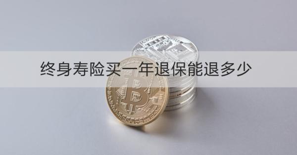 終身壽險買一年退保能退多少？退保怎么退？