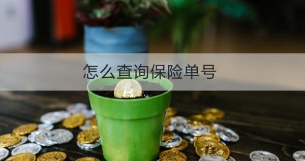 怎么查詢保險單號？查詢不到為什么？