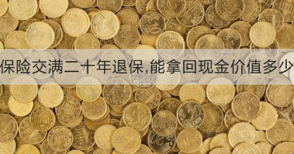 保險(xiǎn)交滿二十年退保,能拿回現(xiàn)金價(jià)值多少？需要注意什么？