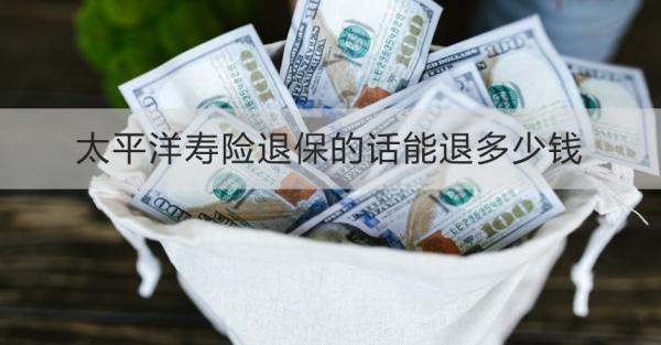太平洋壽險(xiǎn)退保的話能退多少錢(qián)？看完這篇文章就知道了