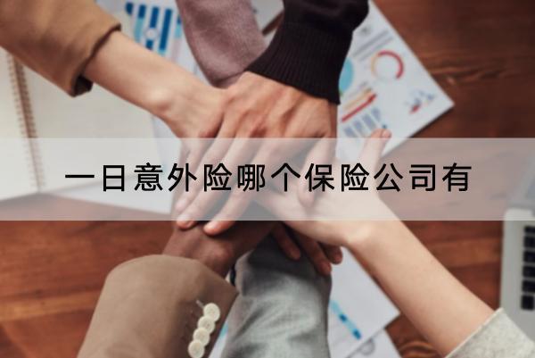 一日意外險(xiǎn)哪個(gè)保險(xiǎn)公司有？怎樣投保？