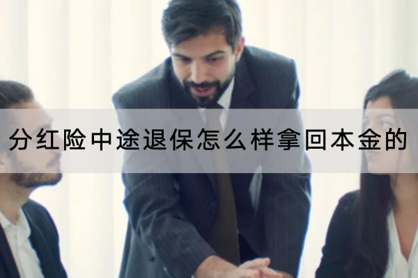 分紅險中途退保怎么樣拿回本金的