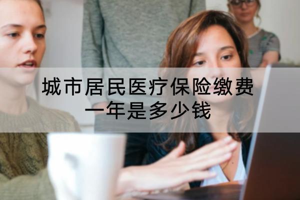 城市居民醫(yī)療保險繳費一年是多少錢
