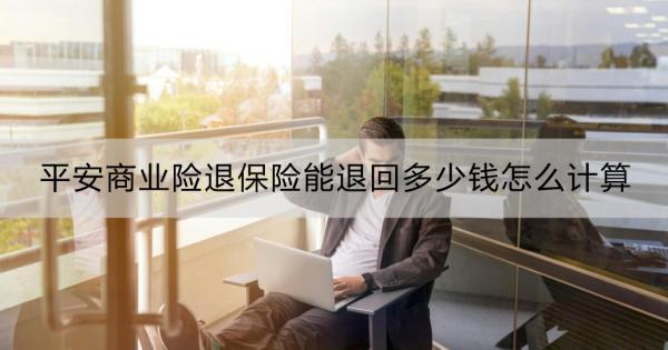 平安商業(yè)險退保險能退回多少錢怎么計算？退保險線上退保流程？