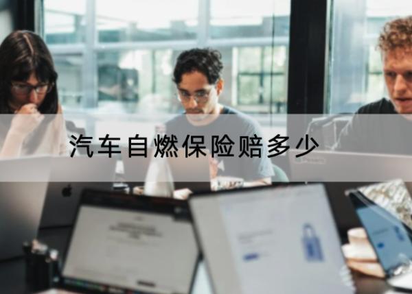 汽車自燃保險賠多少