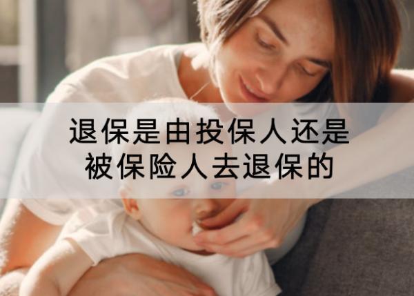 退保是由投保人還是被保險人去退保的？退保的流程是什么？