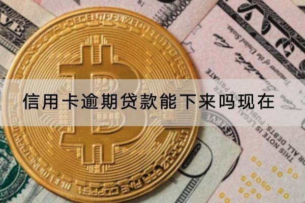 信用卡逾期貸款能下來(lái)嗎現(xiàn)在？想貸款怎么辦？