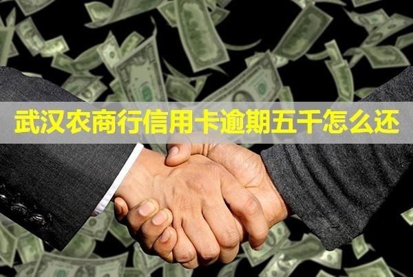 武漢農(nóng)商行信用卡逾期五千怎么還？