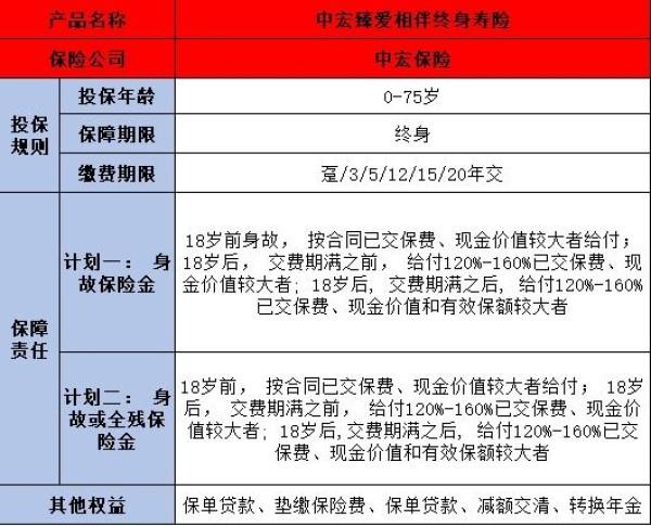中宏臻愛(ài)相伴終身壽險(xiǎn)
