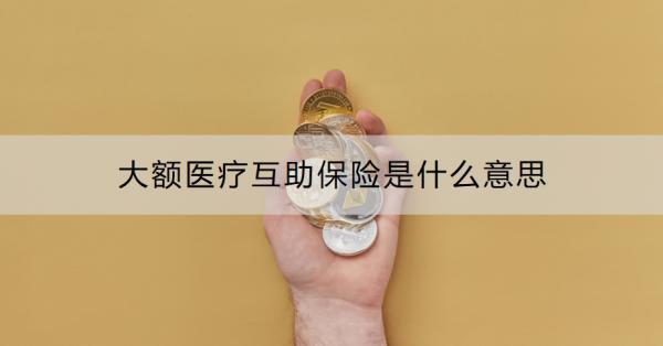 大額醫(yī)療互助保險(xiǎn)是什么意思
