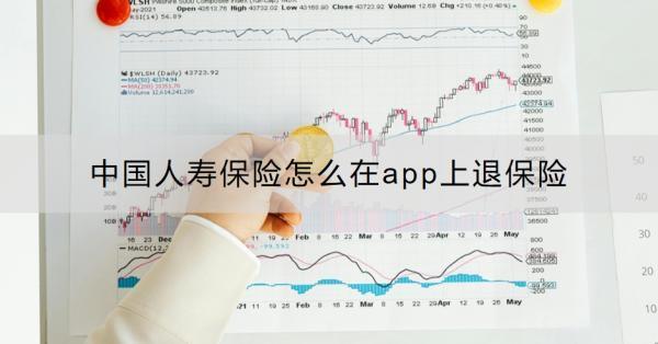 中國人壽保險怎么在app上退保險？附全流程！