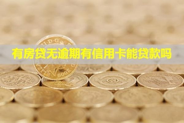 有房貸無(wú)逾期有信用卡能貸款嗎？額度大嗎？
