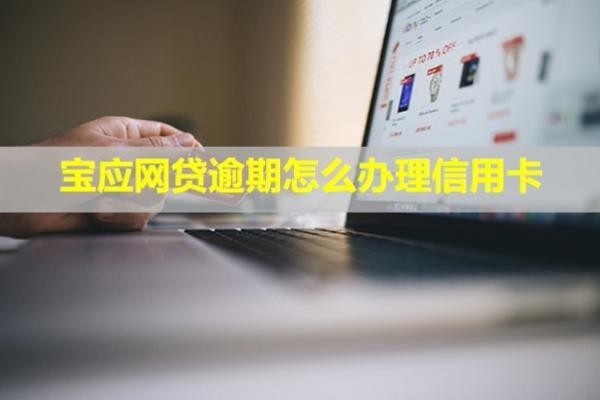 寶應網(wǎng)貸逾期怎么辦理信用卡？會怎么樣？