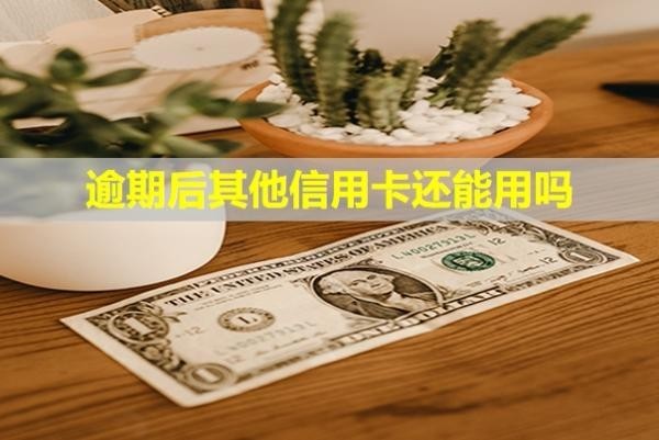 逾期后其他信用卡還能用嗎？有什么影響？