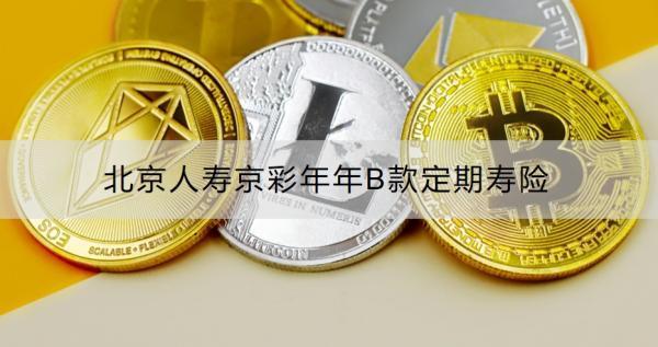 北京人壽京彩年年B款定期壽險(xiǎn)