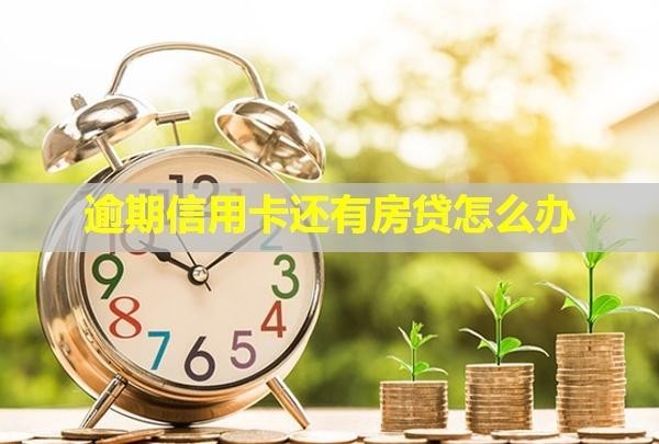 逾期信用卡還有房貸怎么辦？還能用嗎？
