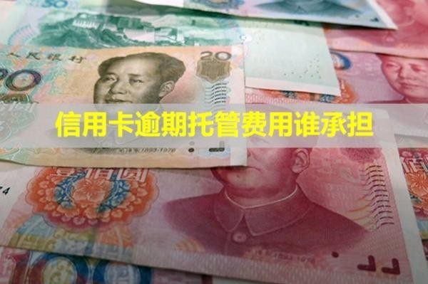 信用卡逾期托管費用誰承擔？利息可以全部減免嗎？