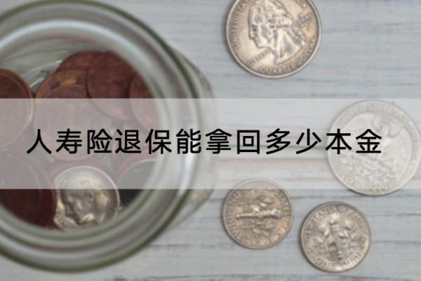 人壽險(xiǎn)退保能拿回多少本金？退保怎么退？