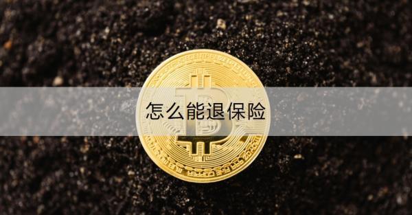 怎么能退保險？如何減少退保損失？