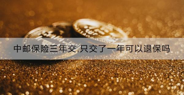 中郵保險三年交,只交了一年可以退保嗎？怎么退保？