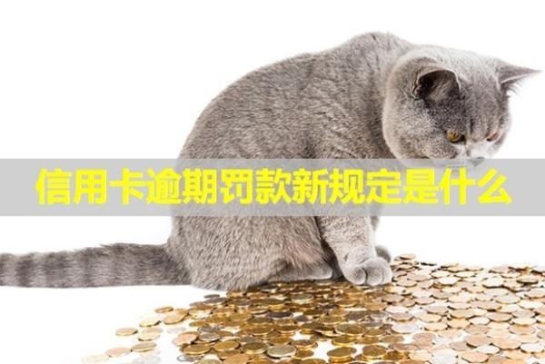 信用卡逾期罰款新規(guī)定是什么？會拍賣房子嗎？