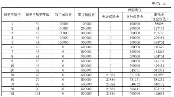 國(guó)民職工之家C款養(yǎng)老年金保險(xiǎn)(互聯(lián)網(wǎng)專屬)
