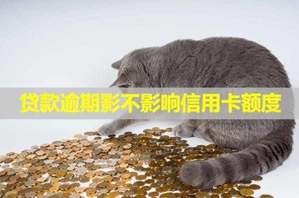 貸款逾期影不影響信用卡額度？